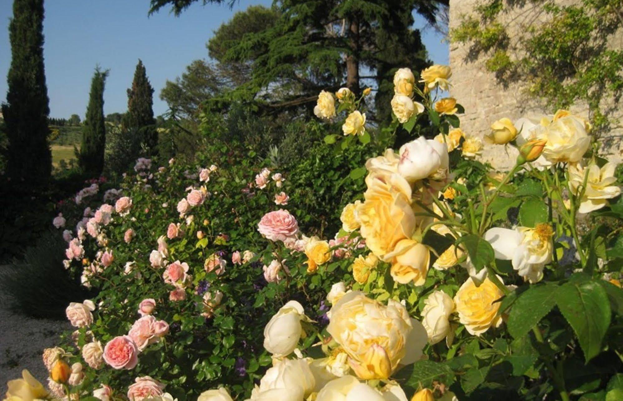 Torre Almonte Aparthotel Todi Kültér fotó